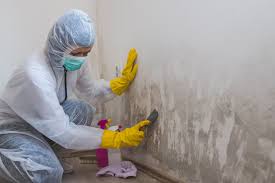 Best Asbestos and Lead Testing During Mold Inspection in Dock Junction, GA